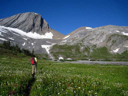 Me walking the alpine meadows just beyond Aster Lake