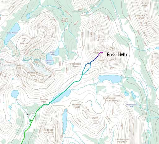 Fossil Mountain standard scramble route