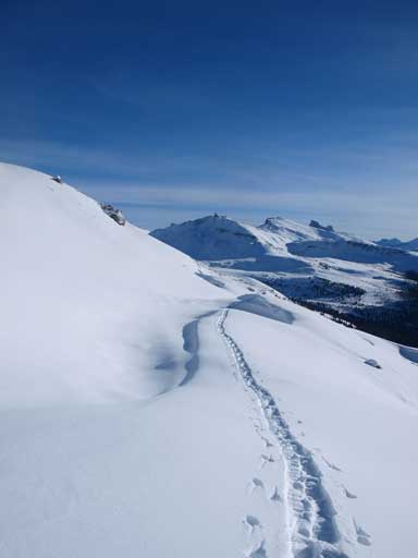 Retracing our tracks