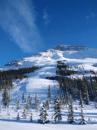 Noseeum Mountain again