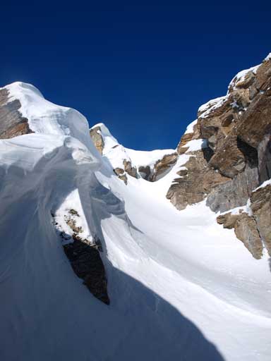 It was tropical hot in this scoop