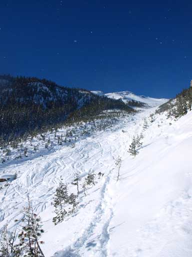 We veered into trees seeking some powders to give our knees some relief