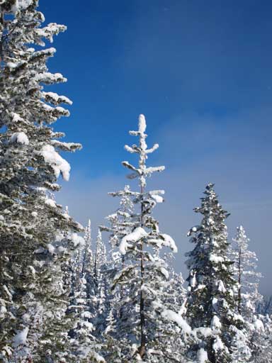 Back to the frosty winter wonderland