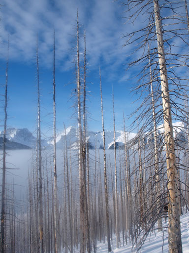 Already neat views through the forest