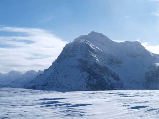 The Monarch is always the impressive!