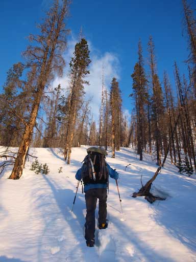 Marching up the forested slope