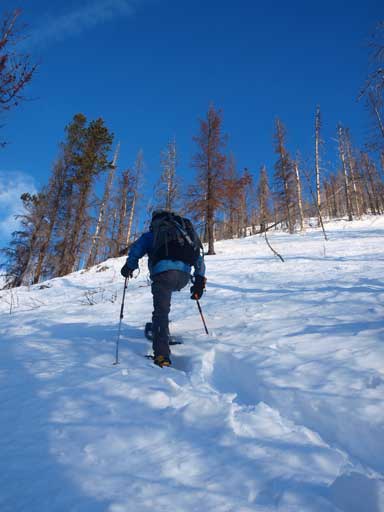 Ben breaking trail.. 