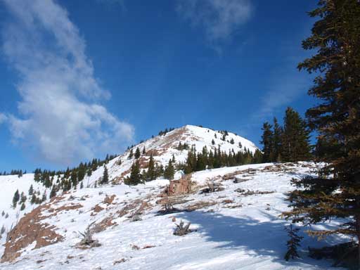 The upper slope of Mount Fortune