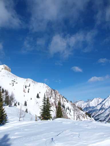 Another shot from Mount Fortune