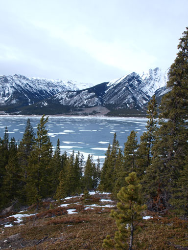 Back into the trees. Still pretty windy.
