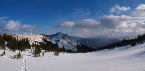 Almost back into the trees. We made a bad call of short-cutting through the forest here. Miserable bush was waiting for us.