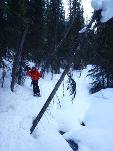 Typical walk on the de-proach