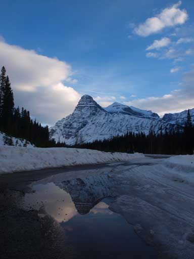 This pool of water gave some interesting photographing oppourtunities