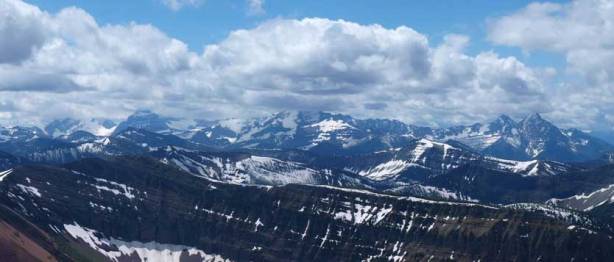 Giants in Glacier National Park, MT
