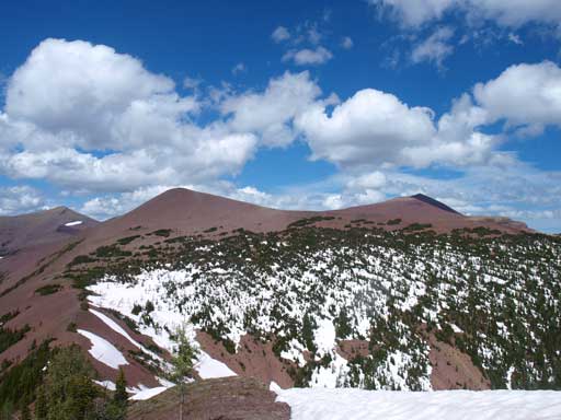 Interesting to see there were more snow below treeline than at alpine