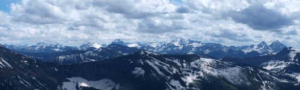 Giants in Glacier National Park, MT
