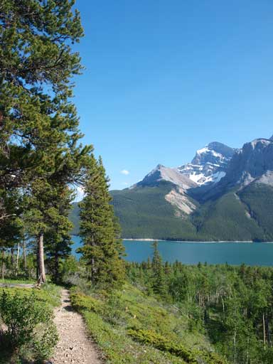 Almost back to Lake Minnewanka Trail.