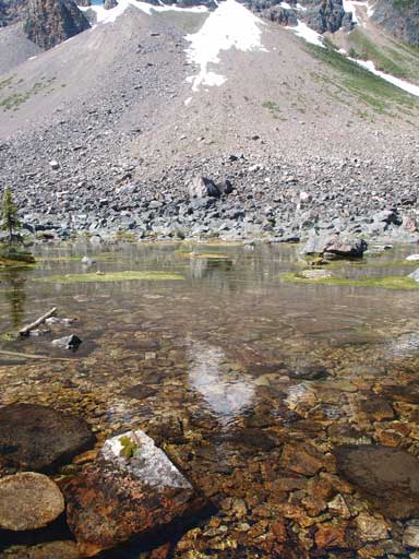 I just forded this..