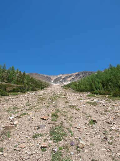 Looking back up this ugly gully