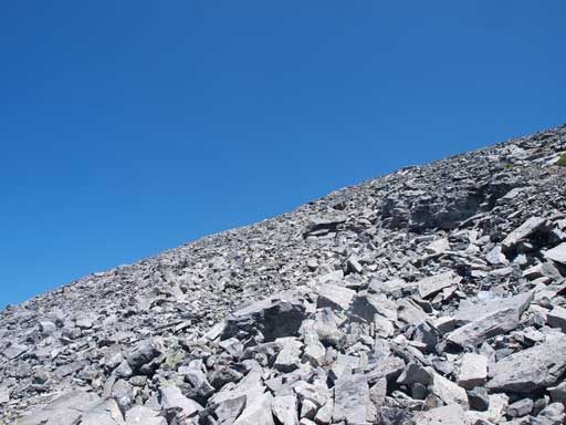 Typical scree on Read's Tower