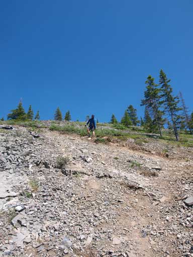 Typical trail condition...