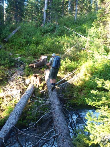 Eric crossing a log bridge