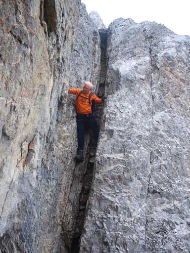 In the middle section