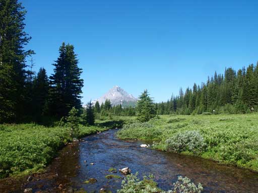There's a log to help crossing the outflow of Chester Lake