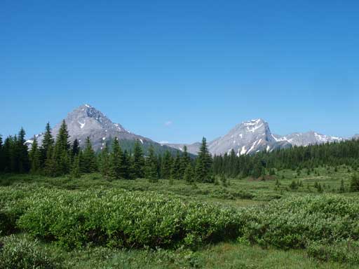 I'll be back to this beautiful meadow for sure.