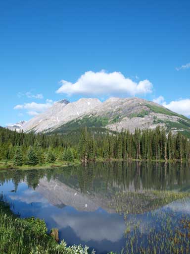 Mud Lake isn't an attractive name, but it offers gorgeous views in the morning.