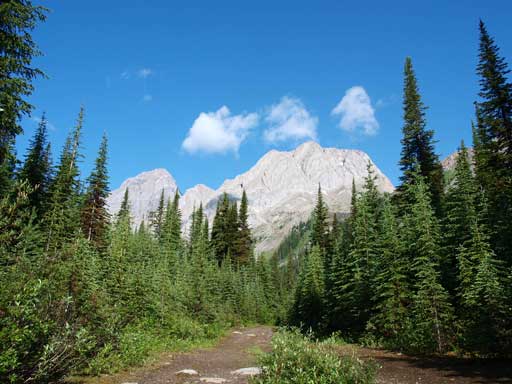 A view from Burstall Pass Trail. Commonwealth Peak in the background.