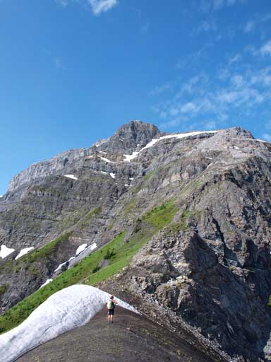 The upper slope of Mt. Burstall
