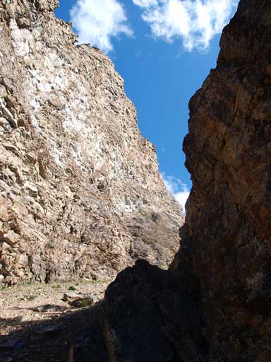 Afternoon sun made some nice contrasts of colours