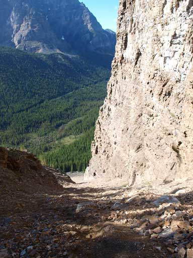 Looking down the gully