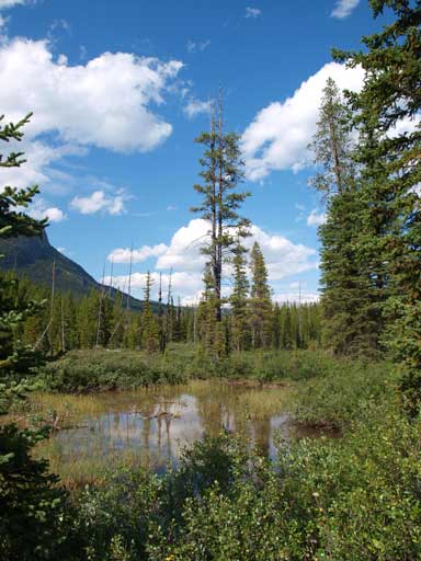 Finally got down all of the elevation.