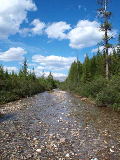 I found a shallower spot to cross it.