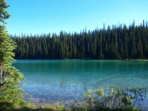Another look at Yoho Lake