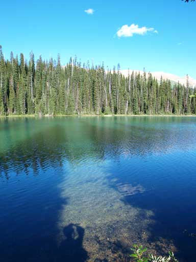 Another shot of Yoho Lake. I like the shadows produced by the trees.