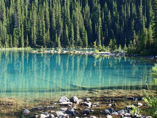 The crystal clear water in Lake O'Hara