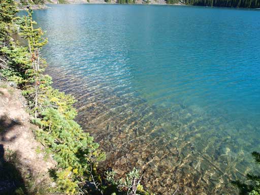 Back to Lake O'Hara