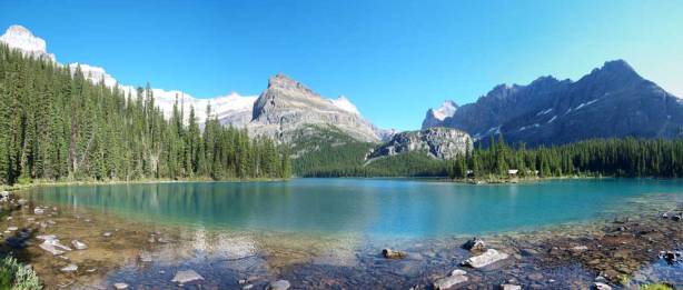 A panorama from Lake O'Hara. Click to view large size.