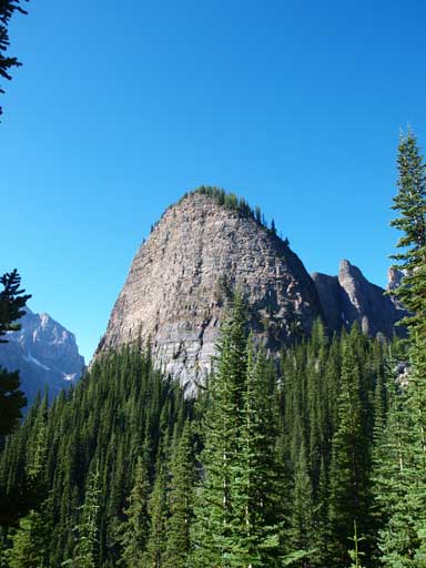 A look at The Beehive