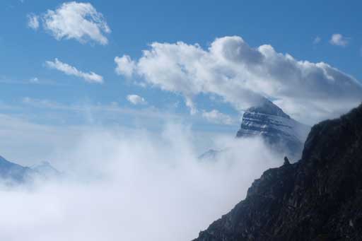 Mt. Chephren looming behind