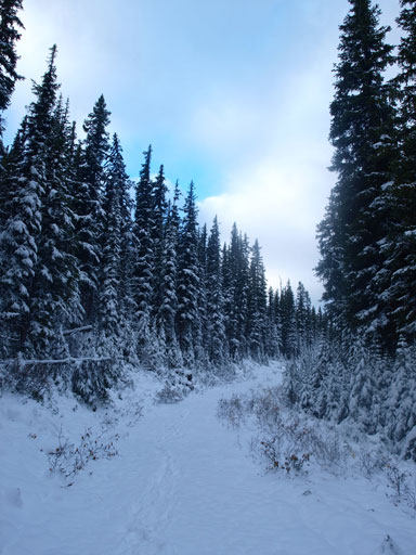 Typical view from the boring approach trail/road