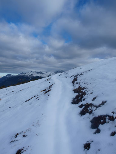 The new snow was still not thick enough to completely cover the trail.