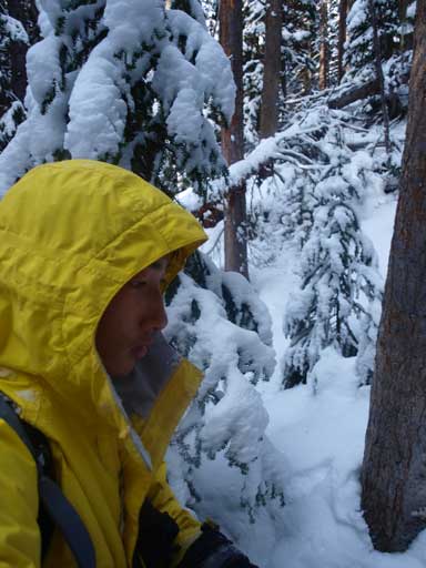 Bushwhacking again. It was wet!