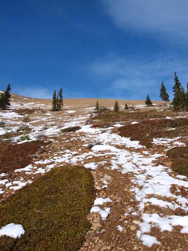 Looking back at this scree section