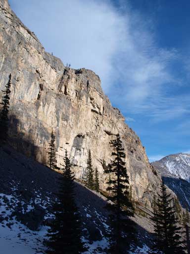 Back into the trees, there's still awesome views