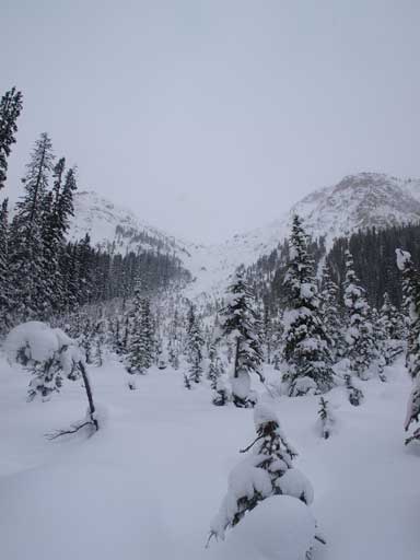 There were two big avalanche paths to pass by on Healy Pass approach