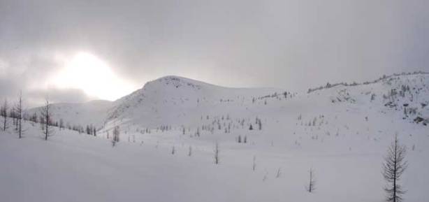 Finally made to Healy Meadows. Ahead is part of my objective